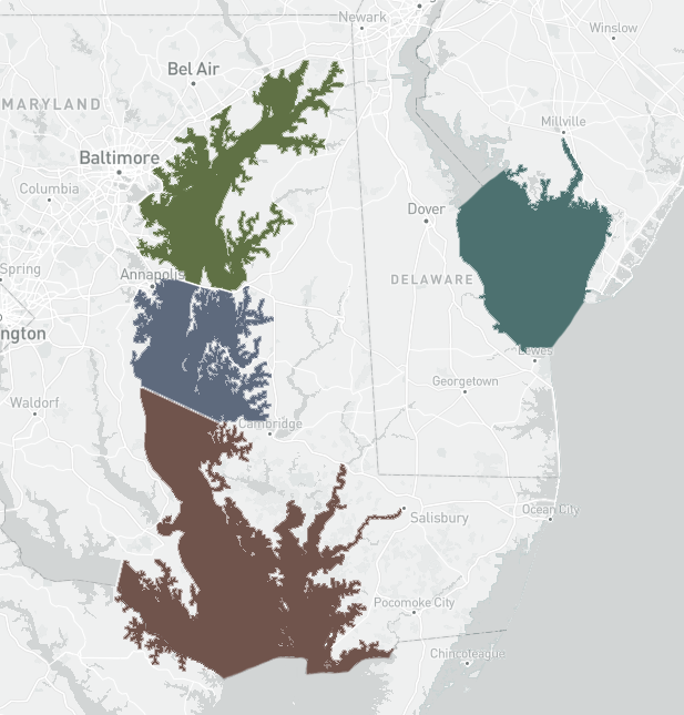 Starting line of boats